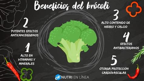 Top 5 Beneficios Del Brócoli Que Debes Saber 🥦🥦🥦 Nutri En Línea