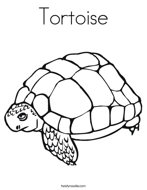Tortoise Coloring Page Twisty Noodle
