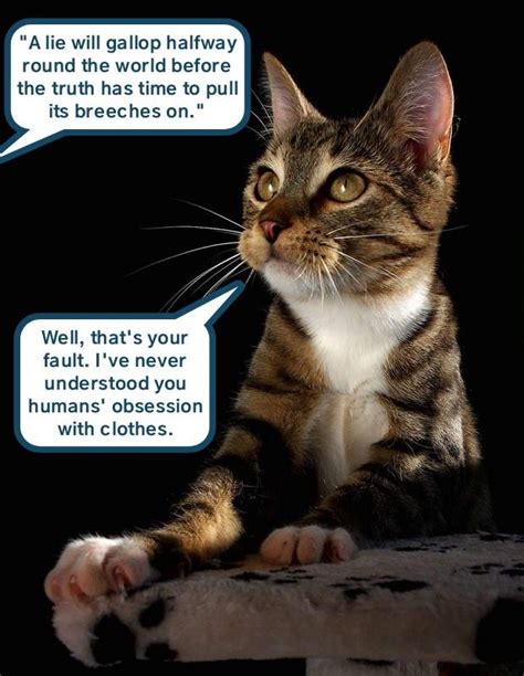 Kitteh Recommends The Naked Truth Lolcats Lol Cat Memes Funny