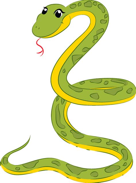 Vector Snake Snake Vector Snake Clipart Cold Blooded Png And Vector