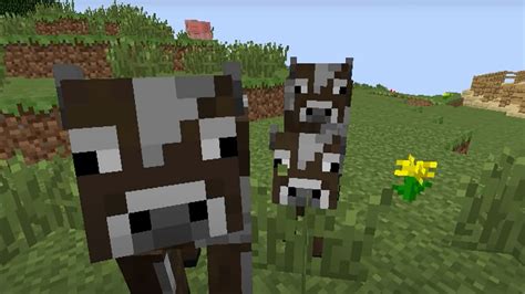 What Do Cows Eat In Minecraft Bedrock Edition