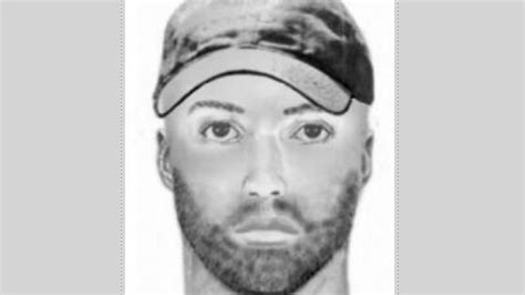 Police Release Sketch Of One Of Two Suspects In Armed Robber Of Gamestop Store In Wheaton