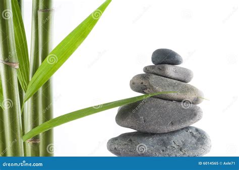 Bamboo And Stones Stock Image Image Of Balance Rock 6014565