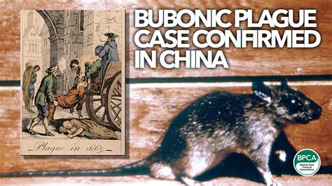Bubonic Plague Case Confirmed In China
