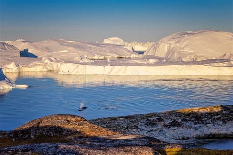 Greenland Ilulissat Glaciers At Ocean At Polar Night Stock Image
