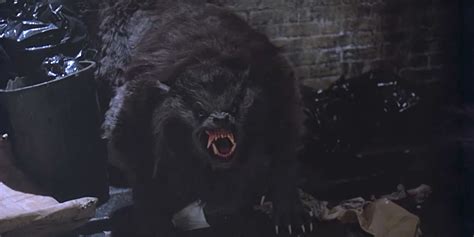 Cómo American Werewolf In London Creó La Categoría De Mejor Maquillaje De Los Oscar Trucos Y
