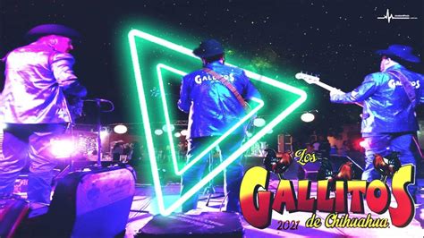 Los Gallitos De Chihuahua En Vivo Vol1 2021 Disco Completo Youtube