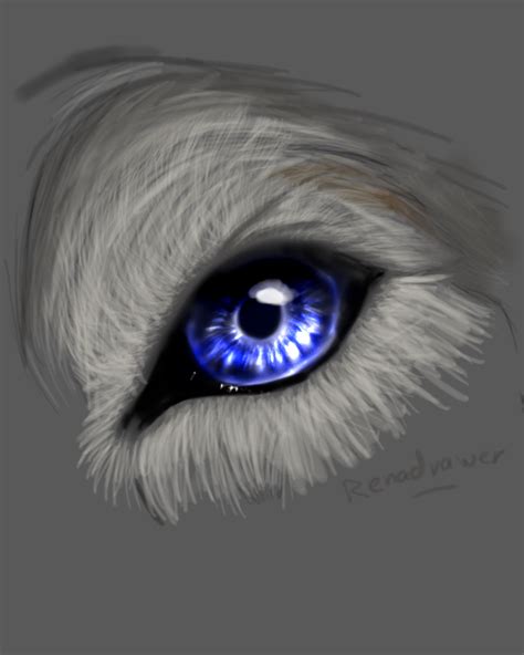 Realistic Wolf Drawing Eyes