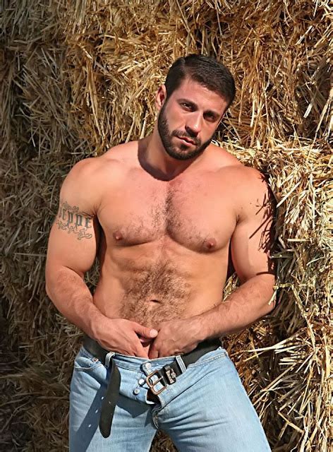 Daily Bodybuilding Motivation Hot Hairy Chest Model Carlo Hot