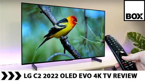 Lg C2 Oled Evo 2022 Review And C1 Comparison 42 4k Display Youtube
