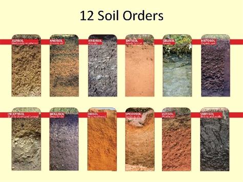Around The World Of Soils Soil Types 12