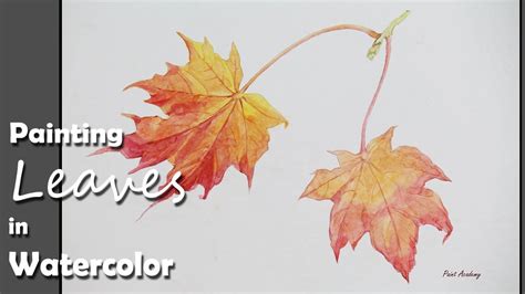 How To Paint Autumn Leaves In Watercolor Fall Watercolor Watercolor