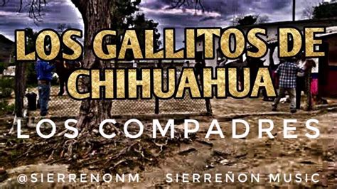 Los Gallitos De Chihuahua Los Compadres Youtube