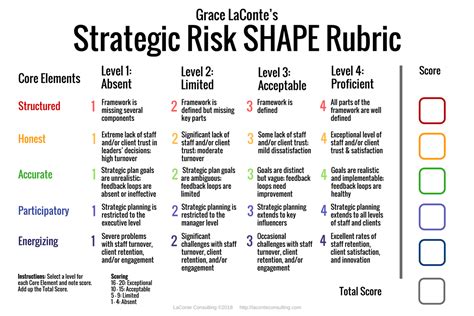 The Strategic Risk Shape Rubric Laconte Consulting