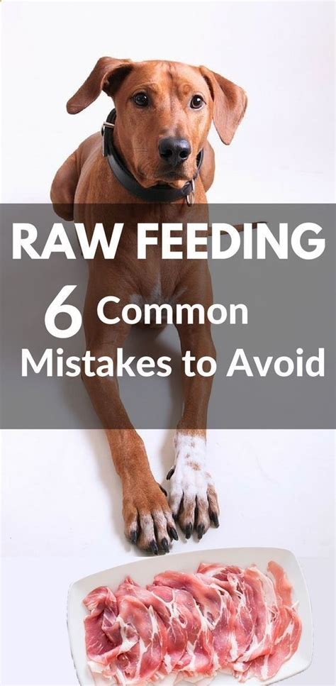 Fun is the northwest naturals dog food feeding guide on the importance of quality and fish. Common Raw Feeding Mistakes That Can Be Harmful to Your ...