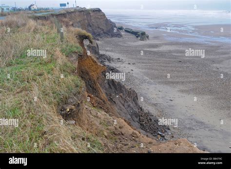 Coastal Erosion On The East Coast At Ulrome East Yorks Uk Stock Photo