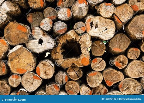 Log Piles With Texture Stock Photo Image Of Stem Material 193077122