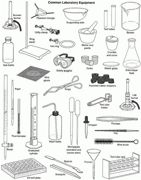 Mr Forde Life Science Review Common Lab Equipment