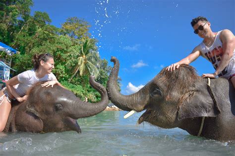 Elephant Swim At Lucky Beach Thailand Kkday