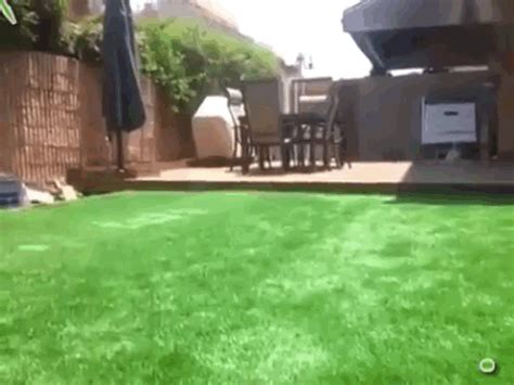 You Will Never Guess What This Backyard Is Hiding Hidden