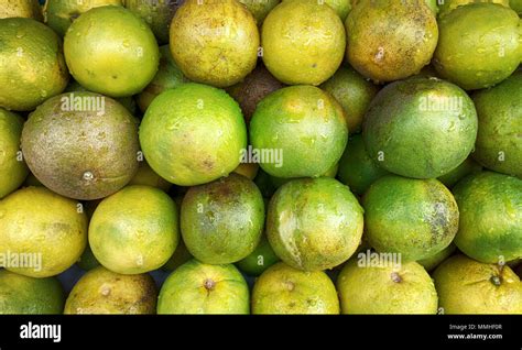 Hesperidic Fruits Hi Res Stock Photography And Images Alamy