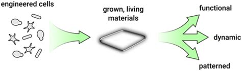 Biological Engineered Living Materials Growing Functional Materials