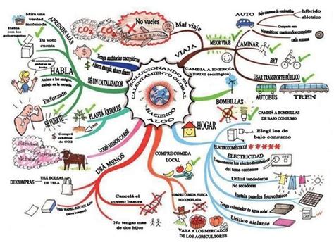 Mapa Conceptual Medio Ambiente Mind Map Sexiz Pix