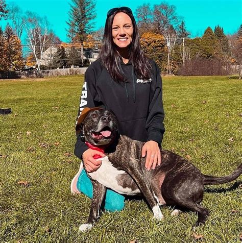 Albany New York Dog Trainers Albany Off Leash K9 Dog Training Dog