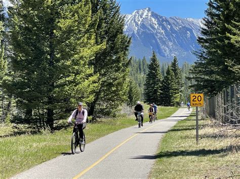 Bow Valley Parkway Cycling Experience Aims To Reduce Wildlife