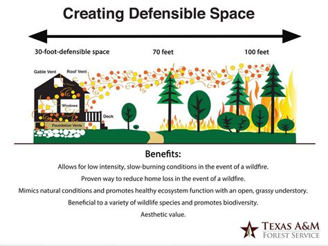 Defensible Space Marble Falls Tx Official Website