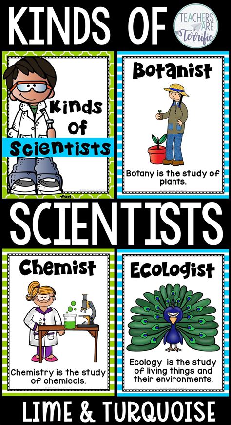 Different Kinds Of Scientists And What They Study Study Poster