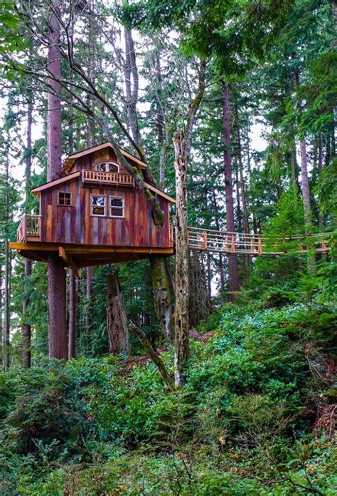 Here Are The Most Amazing Tree House Ideas That You Can Use As