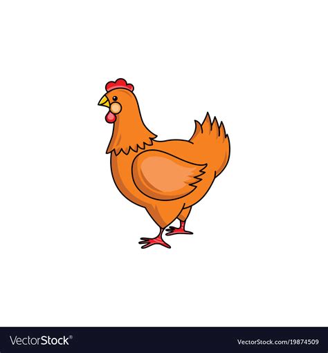 side view portrait of brown hen chicken royalty free vector