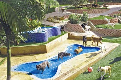 The 14 Best Dog Water Parks In California A By Region Roundup