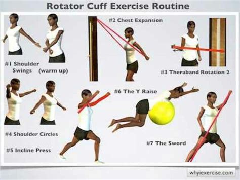 Rotator Cuff Exercises Rotator Cuff Shoulder Rehab Exercises