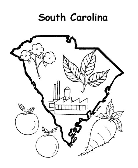 South Carolina Coloring Pages Coloring Home