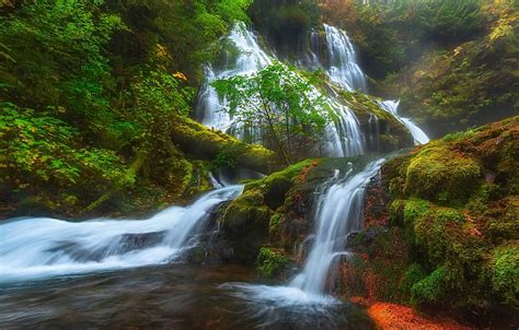 Usa Waterfalls Moss Panther Creek Falls Columbia River Gorge