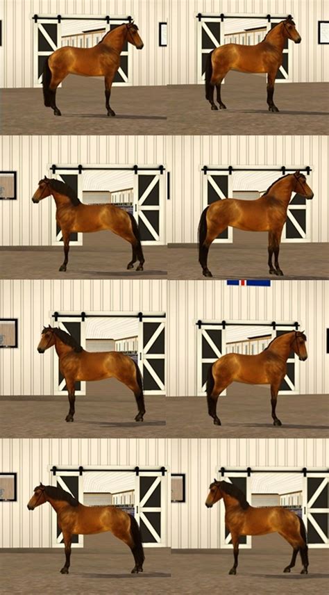 Gaited Horses Sims 3 Custom Content