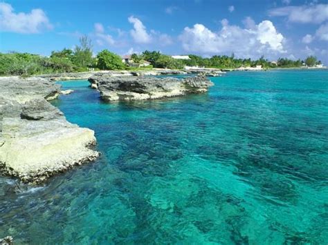 Smith Cove Grand Cayman Cayman Islands Top Tips Before You Go With