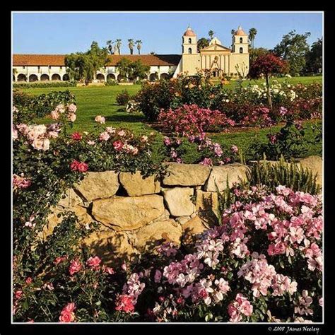 Maybe you would like to learn more about one of these? Image may contain: plant, flower, tree, grass, outdoor and ...