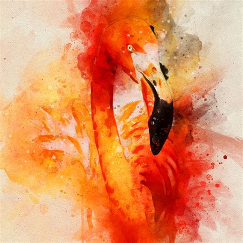 Orange Watercolor At Getdrawings Free Download