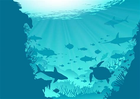 Stunning Ocean Background Vector Illustrations For Graphic Design Projects