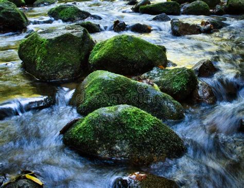 Water Going Around Moss Covered Rocks Stock Image Image Of Hair