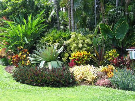 Image Result For Florida Shrubs Tropical Garden Design Tropical