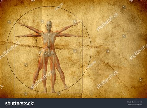 Concept Conceptual Vitruvian Human Body Drawing Stock Illustration