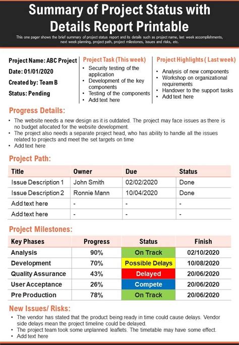 Summary Of Project Status With Details Report Printable Presentation