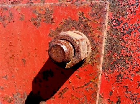 Old Rusty Screw Free Stock Photo Public Domain Pictures