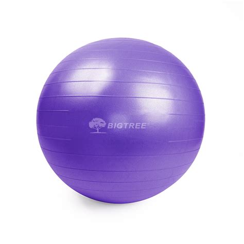 Bigtree Yoga Ball Exercise Core Stability Strength Anti Burst Heavy