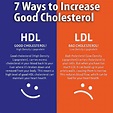 Seven Ways to Increase the Good HDL Cholesterol - Kinney Physical ...
