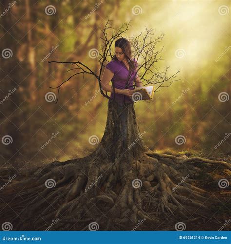 Turning Into A Tree Stock Photo Image Of Beam Concept 69261214